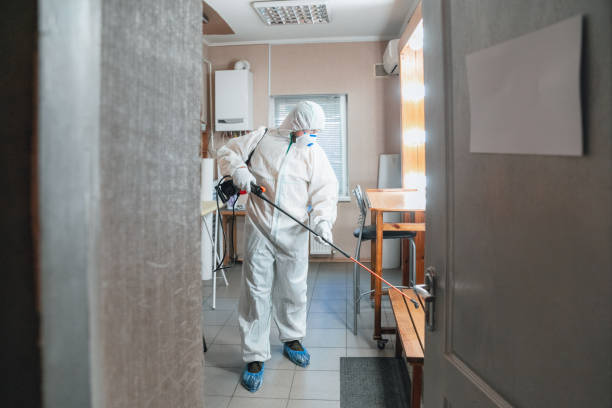 Professional Mold Removal in Kouts, IN