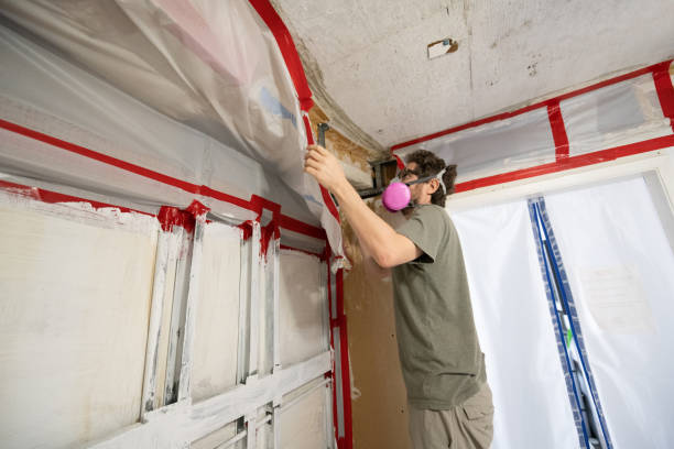 Best Mold Removal for HVAC Installations  in Kouts, IN