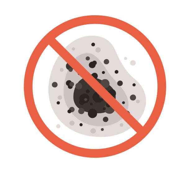 Best Airborne Mold Testing  in Kouts, IN