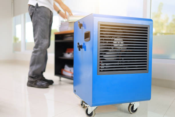 Best Emergency Mold Remediation  in Kouts, IN